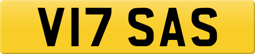 V17SAS