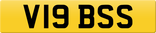V19BSS