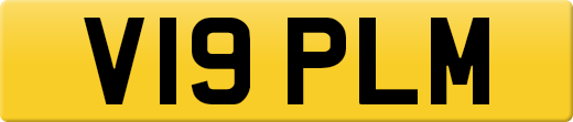 V19PLM