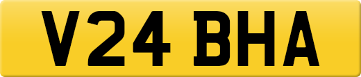 V24BHA