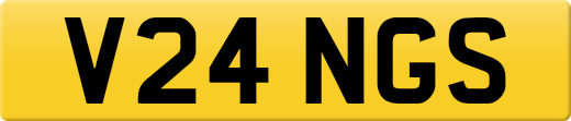 V24NGS