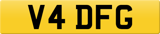 V4DFG