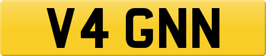 V4GNN