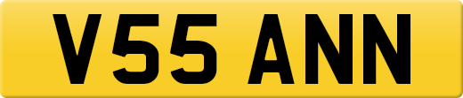 V55ANN