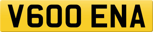 V600ENA