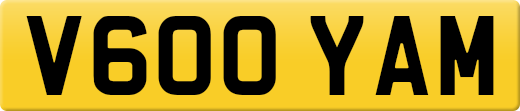 V600YAM