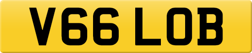 V66LOB