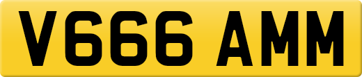 V666AMM
