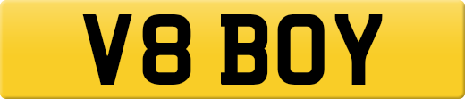 V8BOY