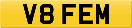 V8FEM