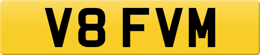 V8FVM