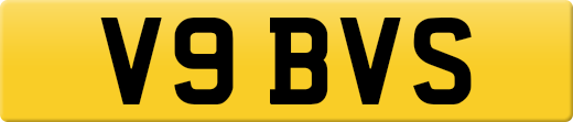 V9BVS