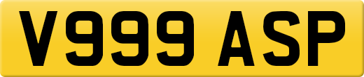 V999ASP