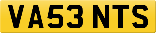 VA53NTS