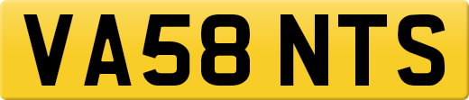 VA58NTS
