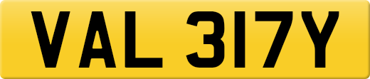 VAL317Y