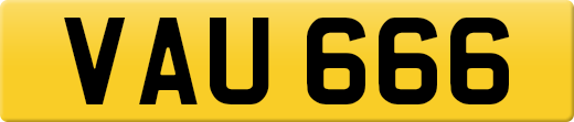 VAU666