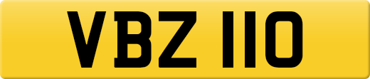 VBZ110