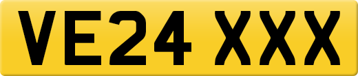 VE24XXX