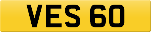 VES60