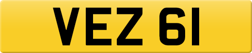 VEZ61