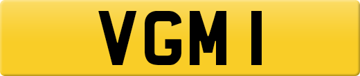 VGM1