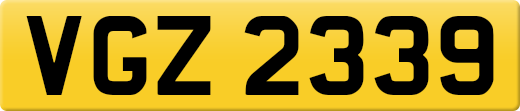 VGZ2339