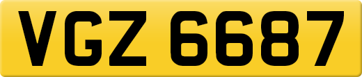 VGZ6687