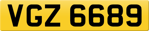 VGZ6689