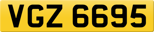 VGZ6695