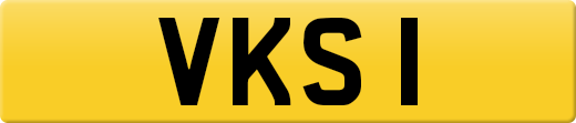 VKS1