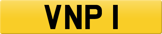 VNP1