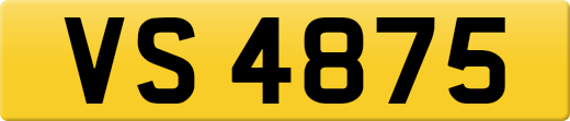 VS4875
