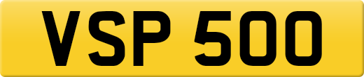 VSP500
