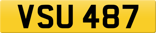 VSU487