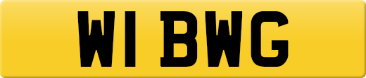 W1BWG