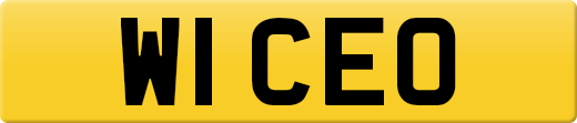 W1CEO