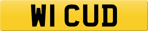 W1CUD