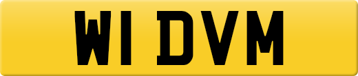 W1DVM