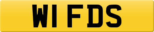 W1FDS
