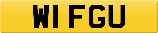W1FGU