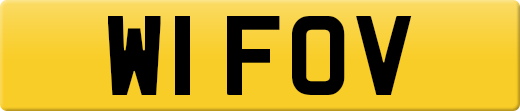 W1FOV