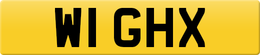 W1GHX