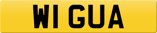 W1GUA