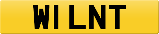 W1LNT