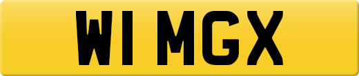 W1MGX