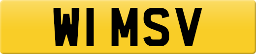 W1MSV