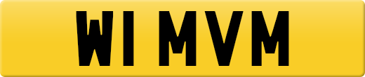 W1MVM