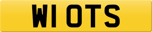 W1OTS