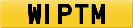 W1PTM
